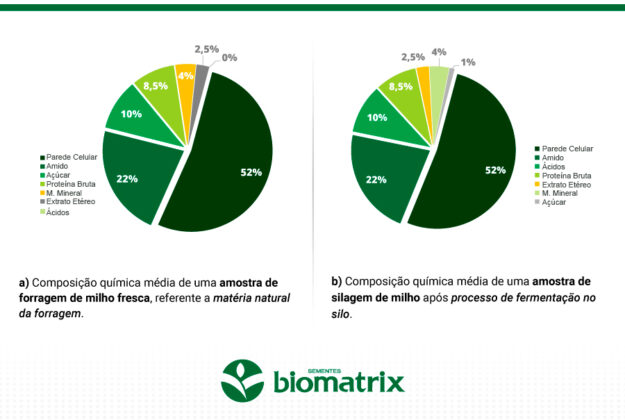 Análise Bromatológica o que é e como fazer sua interpretação