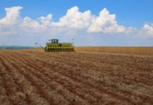 Interpretação de análise de solo para milho