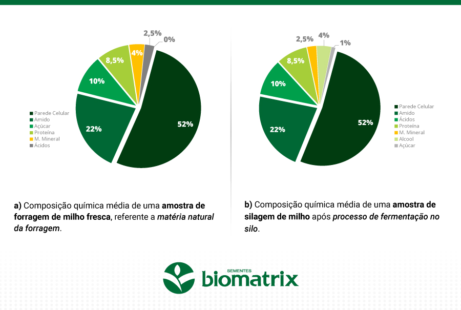 Sem categoria – Blog da Bromato