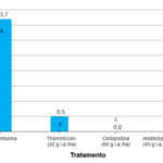 6-percevejos-do-milho