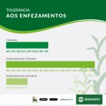 material-resistencia-biomatrix-1