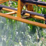 Corn Spraying