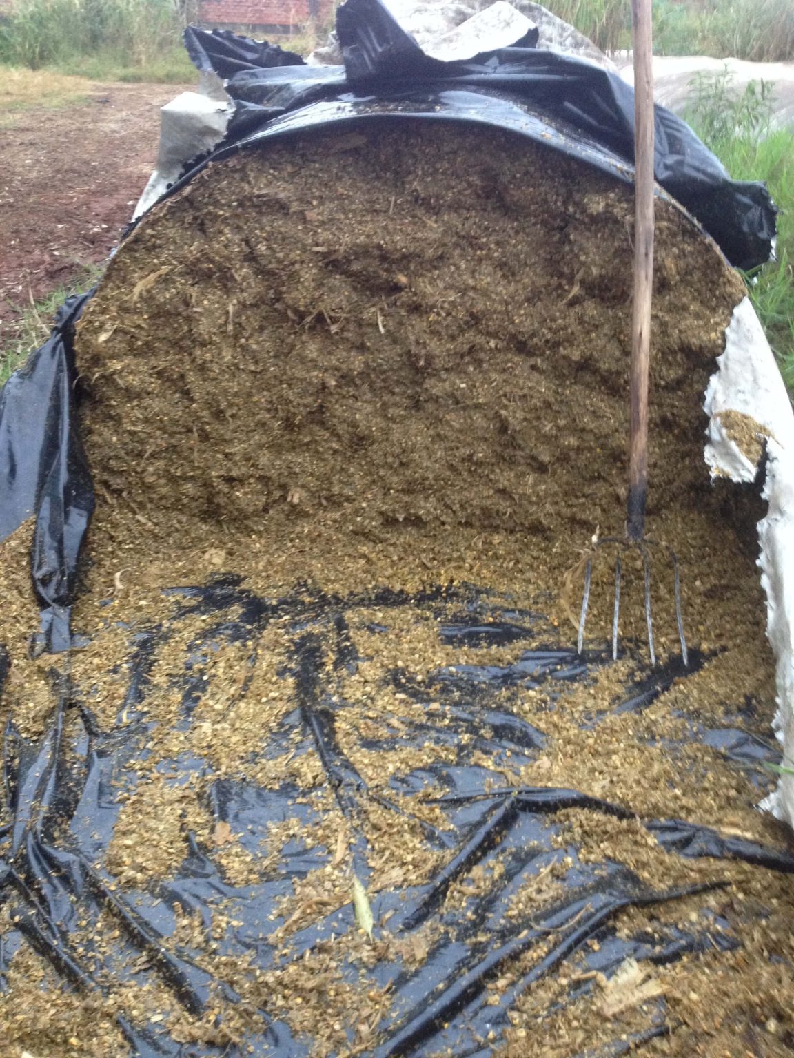 Tipos de silos para silagem qual o melhor para sua propriedade? Tipos de silos para silagem qual o melhor para sua propriedade?