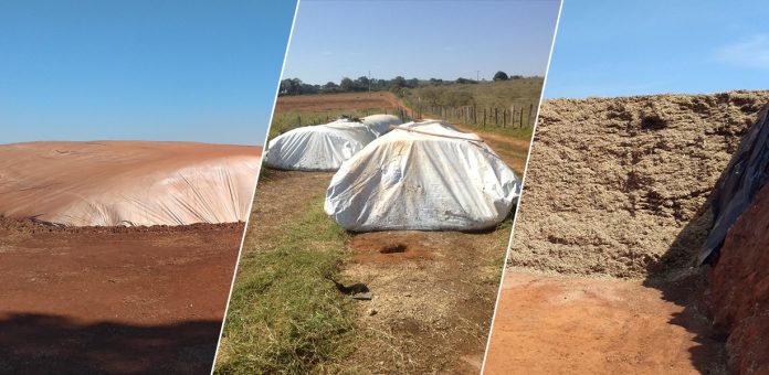 USAR_ESSA_capa_blog_tipos_silagem