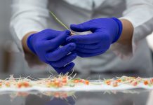 Semente de milho:  a protagonista da lavoura de sucesso