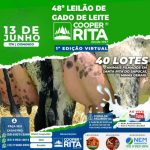 leilão_virtual 1