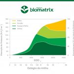 deficiencia-potassio-milho