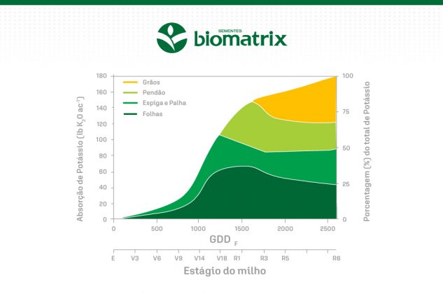 Deficiência De Potássio No Milho Como Identificar E Manejar 1771