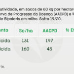 03.imagem-bipolaris-milho