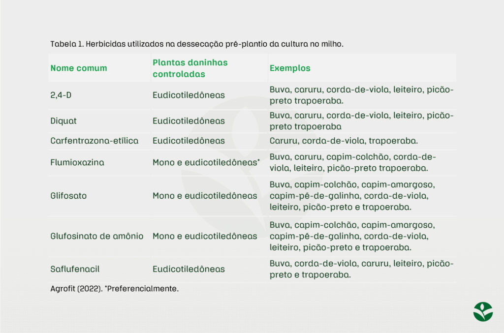 20 opções de pré-emergentes para controlar caruru na soja