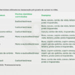 04.tabela-herbicidas-milho