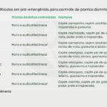 05.tabela-herbicidas-milho