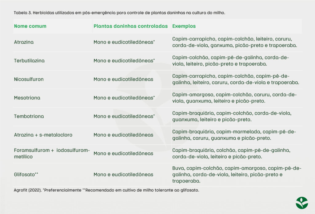 Herbicida pré-emergente para milho: todas as dicas para aplicação