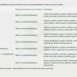 07.tabela-herbicidas-milho