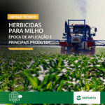 post_blog_herbicidas-milho