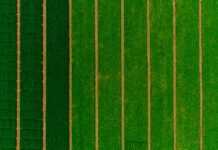 ZARC – Zoneamento Agrícola de Risco Climático: como usar para melhorar sua gestão de riscos