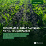 post_blog_planta-daninha