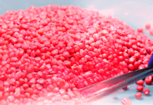 Sistema de Tratamento Industrial de Sementes (Fortis): Importância e vantagens