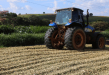 Compactação e Fechamento do Silo: Técnicas Essenciais para Garantir a Qualidade da Silagem