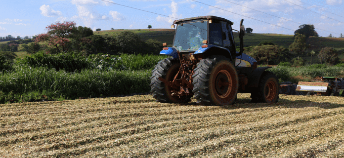 Compactação e Fechamento do Silo: Técnicas Essenciais para Garantir a Qualidade da Silagem
