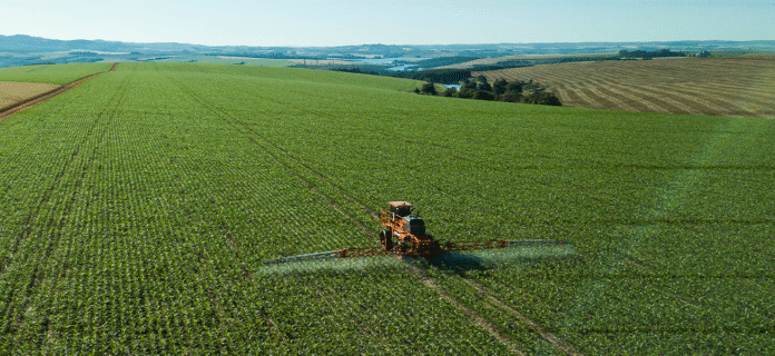 Herbicidas: Estratégias de controle de plantas daninhas no milho