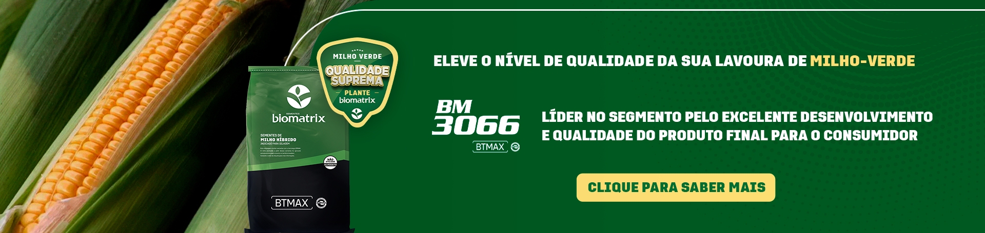 Banner - Milho-Verde 2024