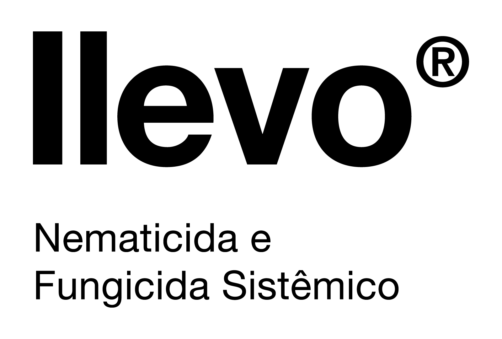 Técnologia cruiser 600