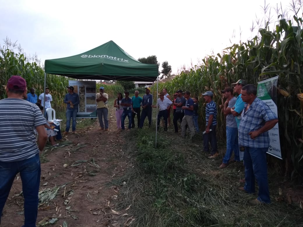 Sementes Biomatrix realiza dia de campo de silagem na Fazenda Américos, em Cana Verde/MG
