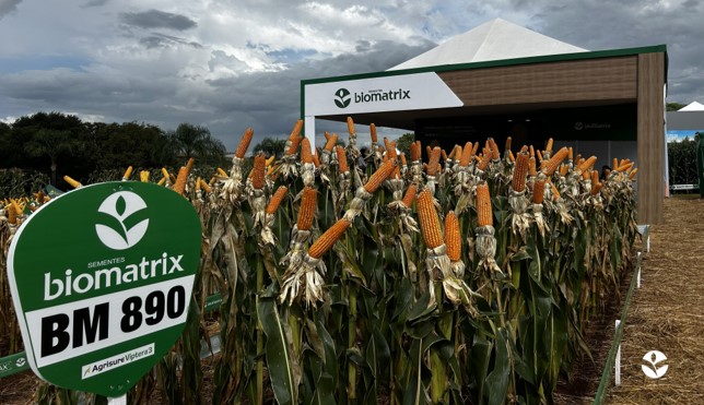 Sementes Biomatrix Marca Presença na Expodireto Cotrijal 2026